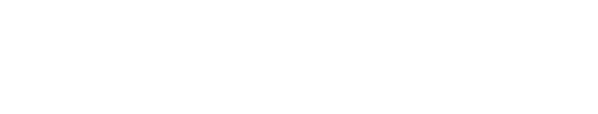 BingBong Airlines